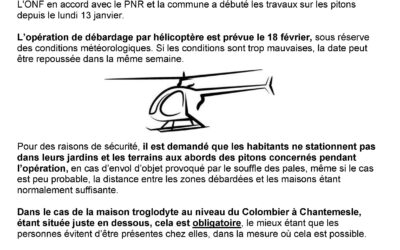 Opération de débardage par hélicoptère