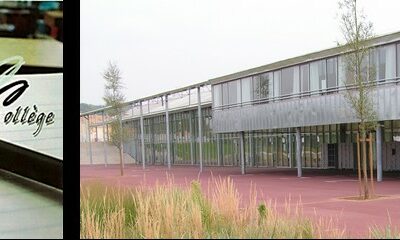 ORGANISATION RENTRÉE DES ÉLÈVES 2020  – COLLÈGE ROSA BONHEUR