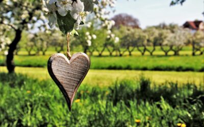 « commandes groupées » d’arbustes de haies champêtres et d’arbres fruitiers de variétés régionales